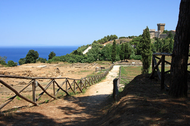 Papulonia
