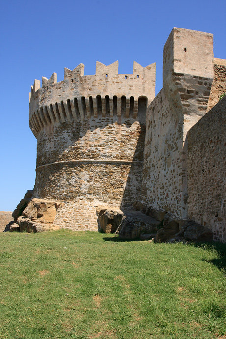 Papulonia