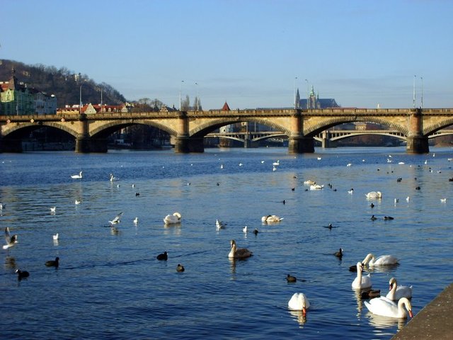 Praga