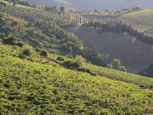 Greve in Chianti