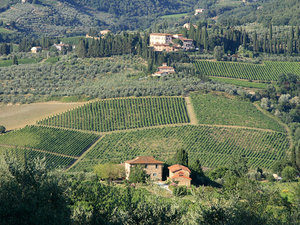 Greve in Chianti