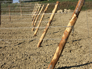 Greve in Chianti