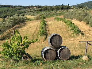 Greve in Chianti