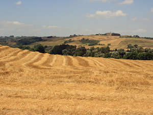 Greve in Chianti