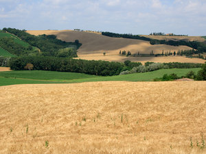 Greve in Chianti