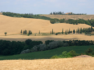 Greve in Chianti