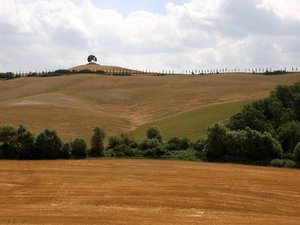 Greve in Chianti