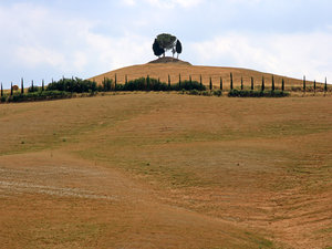 Greve in Chianti