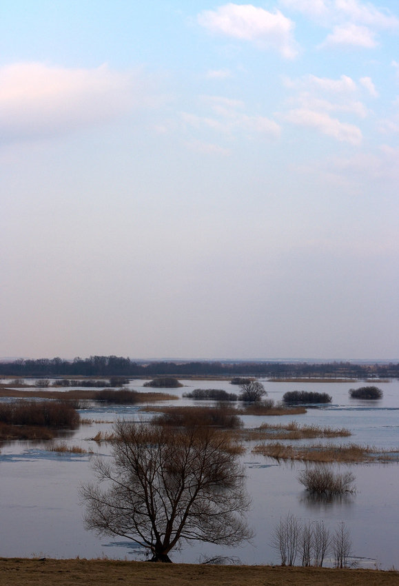 Panorama rozlewiska niedaleko Radziłowa