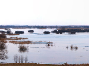 Panorama rozlewiska niedaleko Radziłowa
