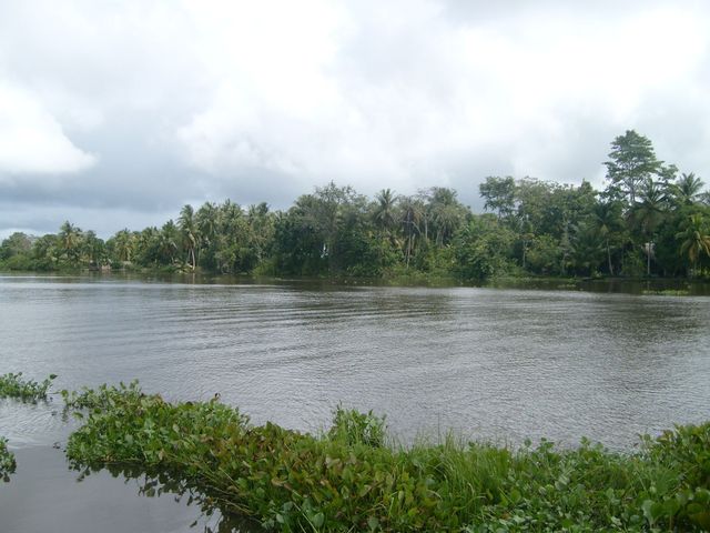 Delta Orinoko