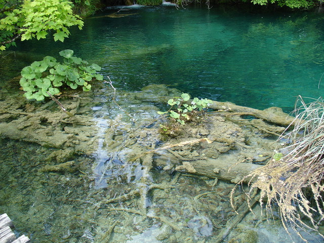 Plitvice