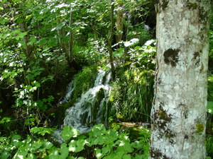 Plitvice