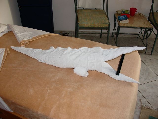 Krokodyl