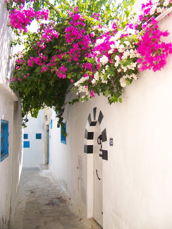 Hammamet