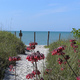 Captiva Island