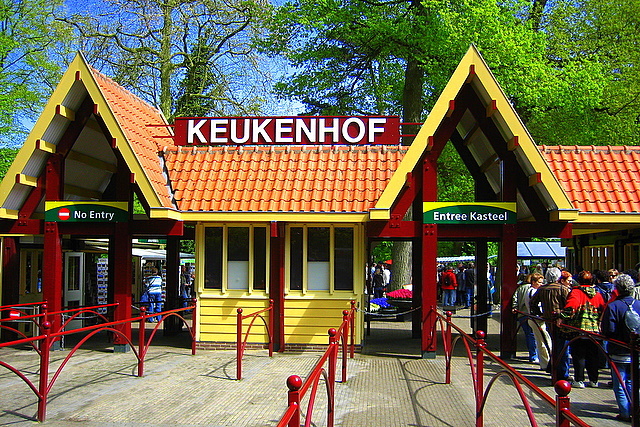 Img 4197 keukenhof - raj dla zmysłów