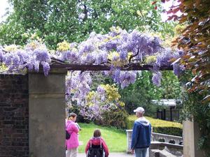 Londyńskie parki - Holland Park