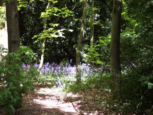Londyńskie parki - Holland Park