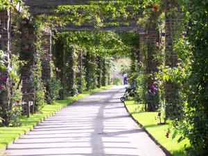 Londyńskie parki - Kew Gardens