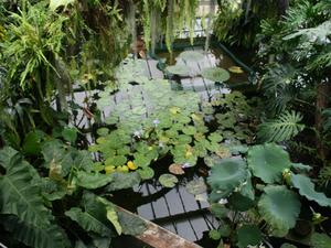Londyńskie parki - Kew Gardens