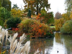 Londyńskie parki - Regents Park
