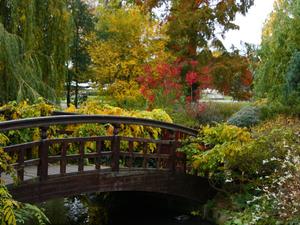 Londyńskie parki - Regents Park