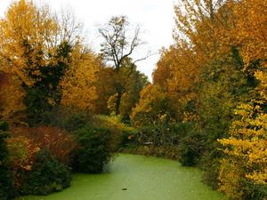 Londyńskie parki - Regents Park
