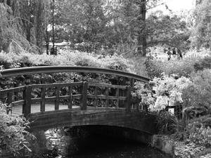 Londyńskie parki - Regents Park
