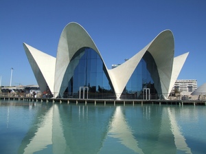 Valencia Oceanarium