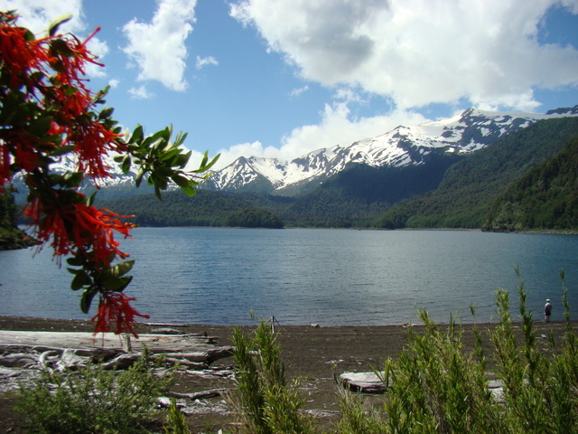 Laguna w P.N. Conguilio