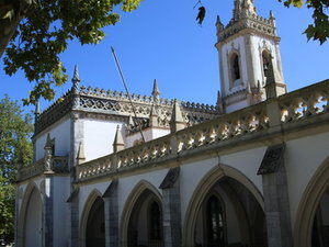 Img 5668