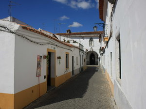 Img 5671