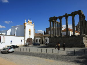 Img 5695