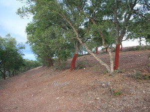 Img 5763