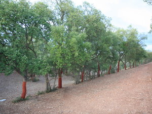 Img 5764