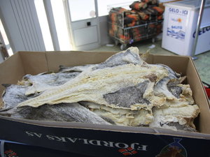 Img 5392