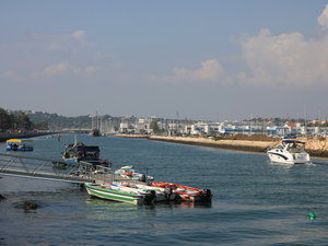 Img 5396