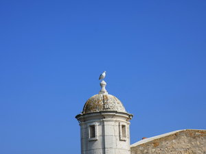 Img 5397