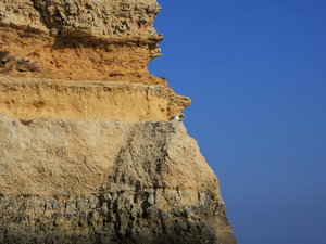 Img 5423