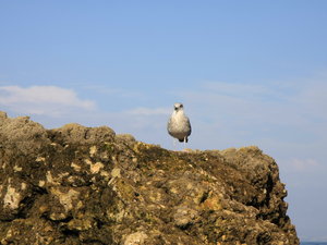 Img 5429