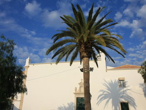 Img 5517