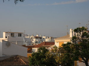Img 5519