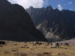 Himachal Pradesh - Kinnaur