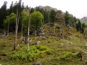 Himachal Pradesh - Kinnaur