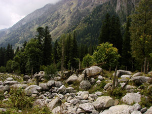 Himachal Pradesh - Kinnaur