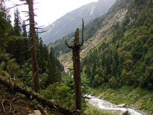 Himachal Pradesh - Kinnaur