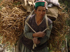 Himachal Pradesh - Kinnaur