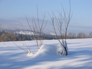 Bieszczady