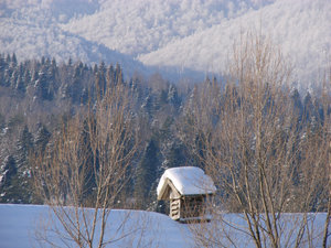 Bieszczady